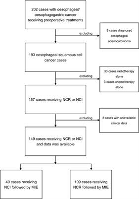 Perioperative Outcomes of Minimally Invasive Esophagectomy After Neoadjuvant Immunotherapy for Patients With Locally Advanced Esophageal Squamous Cell Carcinoma